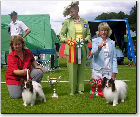 Best in Specialty Show, Boraas, Sweden