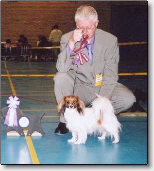Fancy at 3 years, CAC, Best Female & Danish champion!