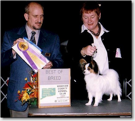Tip winning his 1st BOB, Nov 2002