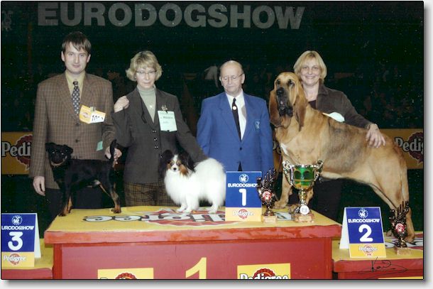 Chip BIS Belgium Breeds, Kortrijk Nov. 2004. Photo Karl Donvil