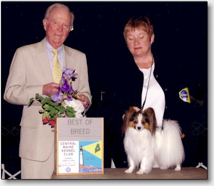 Tip at the Central Maine Kennel Club